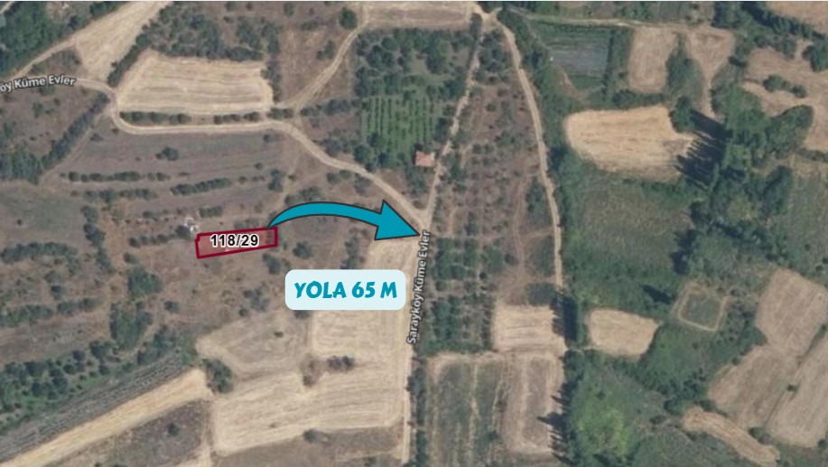 Fotoğraf